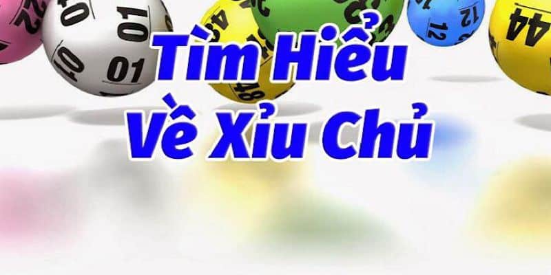 Giới thiệu về xỉu chủ