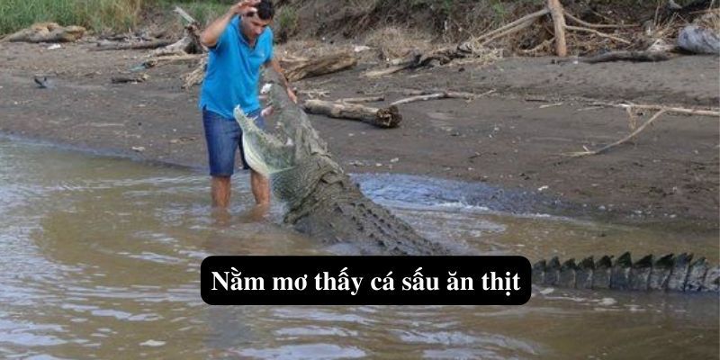 Nằm mơ thấy cá sấu ăn thịt