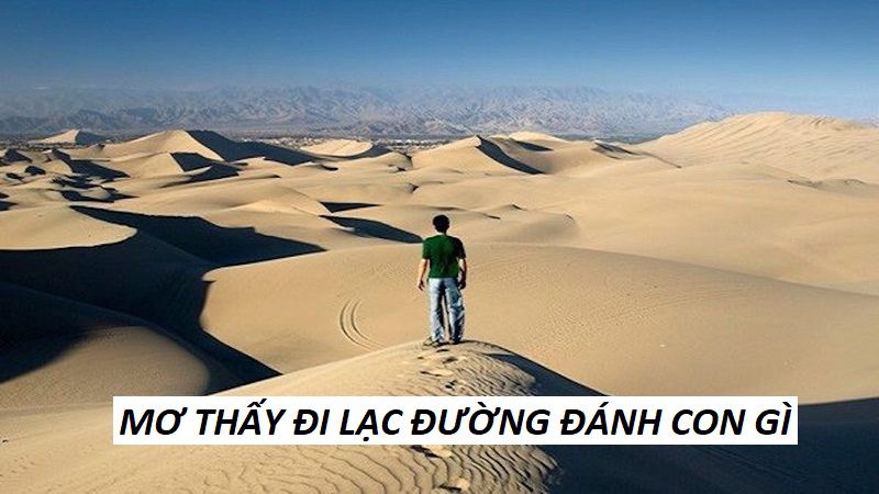 Những con lô hay nhất khi mơ thấy đi lạc đường