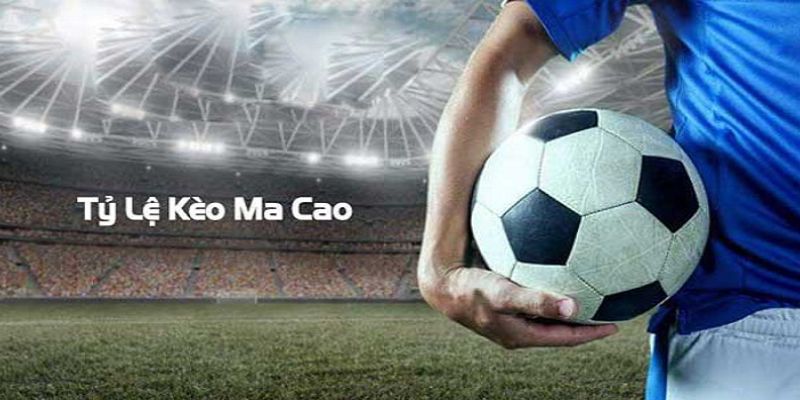 Khái niệm tỷ lệ kèo Macao