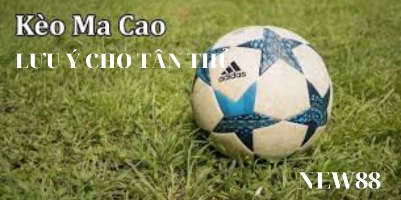 Lưu ý cho tân thủ khi chơi tỷ lệ kèo Macao