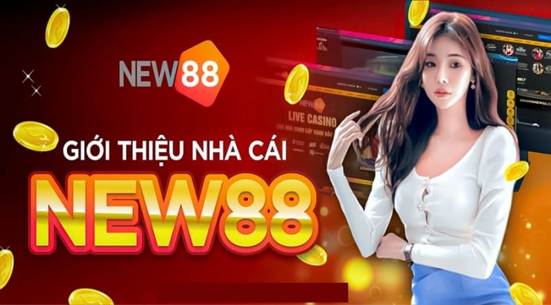 Chơi cá cược không giới hạn tại New88 Hải Phòng