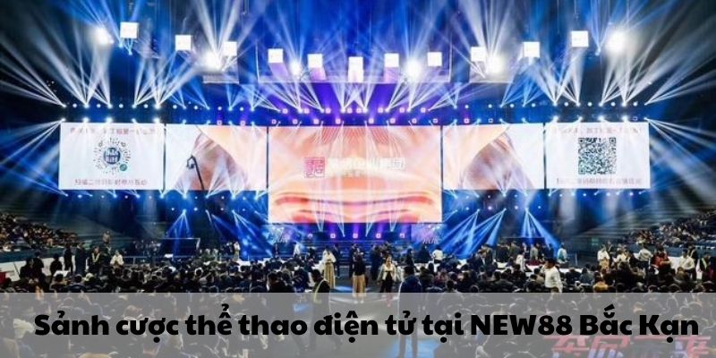 Sảnh cược thể thao điện tử tại New88 Bắc Kạn