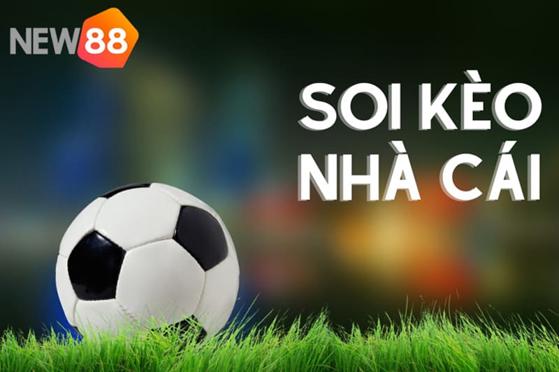 Soi kèo bóng đá ở New88 Hậu Giang có rất nhiều lợi ích