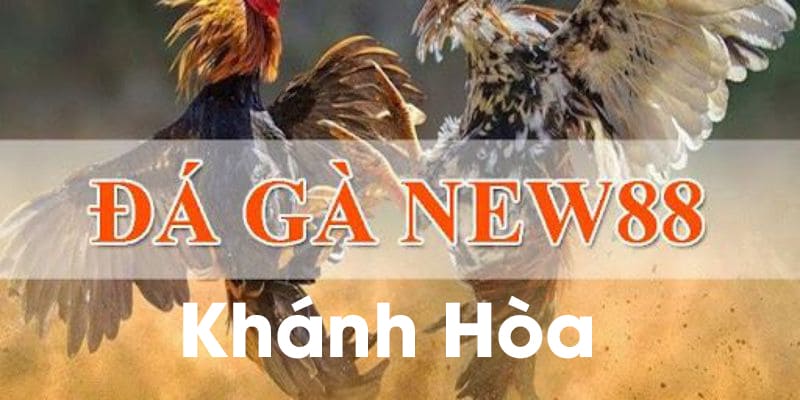 Tham gia cược đá gà tại New88 Khánh Hòa