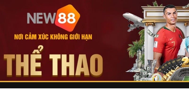 Sảnh thể thao sở hữu nhiều ưu điểm tuyệt vời