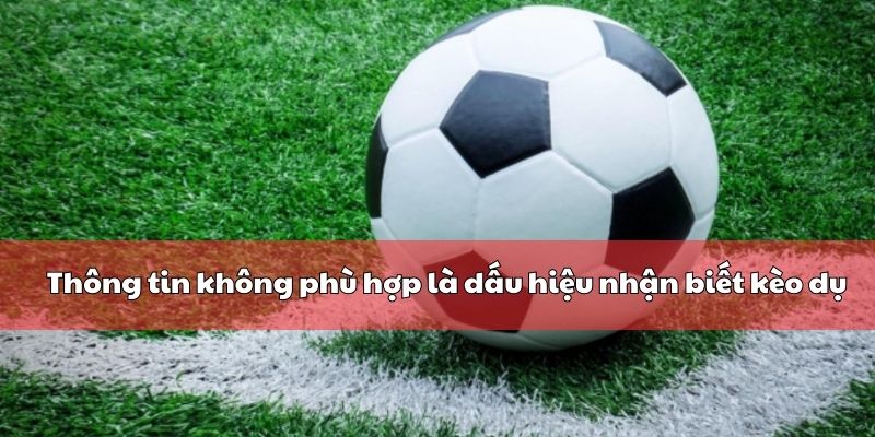 Thông tin không phù hợp là dấu hiệu nhận biết kèo dụ