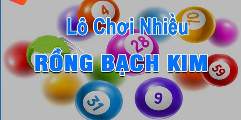 Soi cầu xổ số rồng bạch kim nuôi dàn đặc biệt