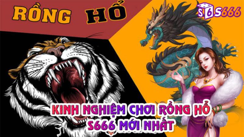 Kinh nghiệm chơi rồng hổ S666 bất bại