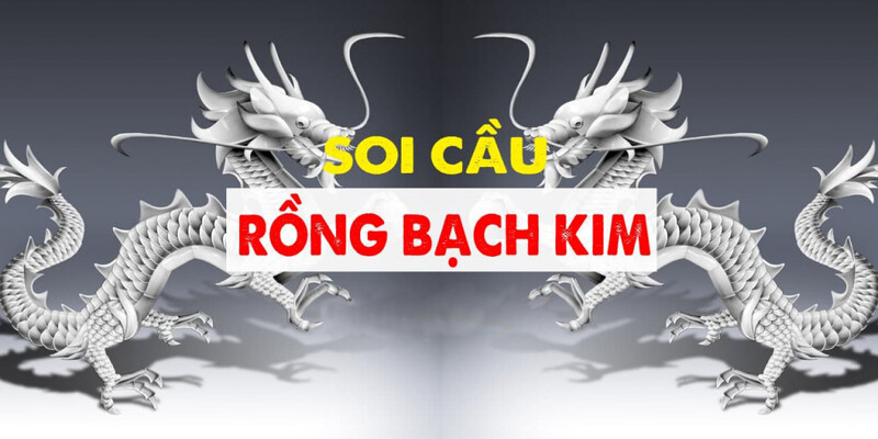 Tìm hiểu về soi cầu MB rồng bạch kim NEW88