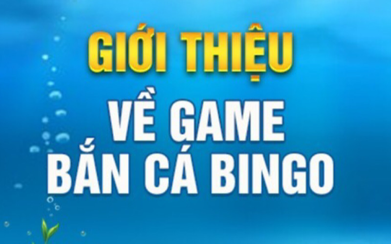 Bắn cá bingo là gì