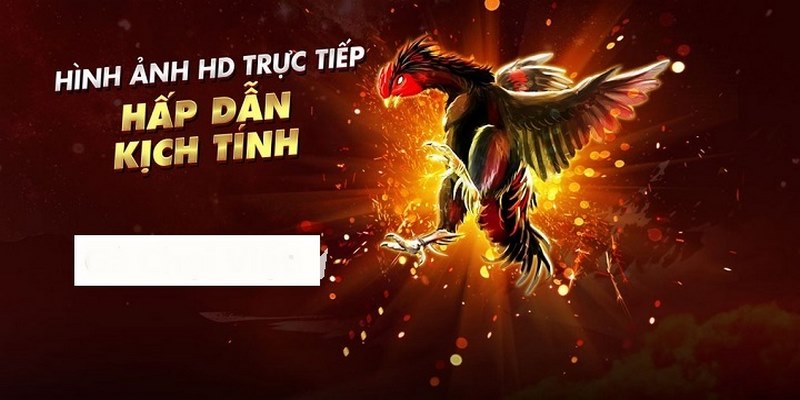 Chất lượng đá gà trực tiếp Casino Mộc Bài NEW88 Full HD