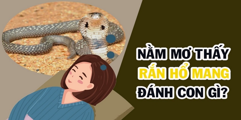 Nằm mơ thấy rắn tốt hay xấu