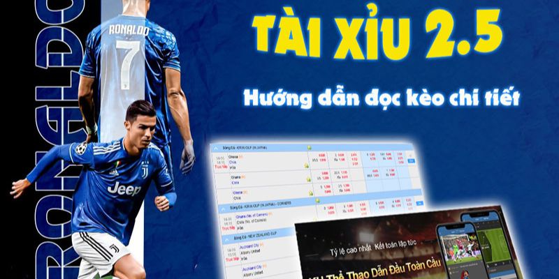 Tìm Hiểu Về Kèo Tài Xỉu 2.5 NEW88 Là Gì Và Cách Đặt Cược Chính Xác Nhất