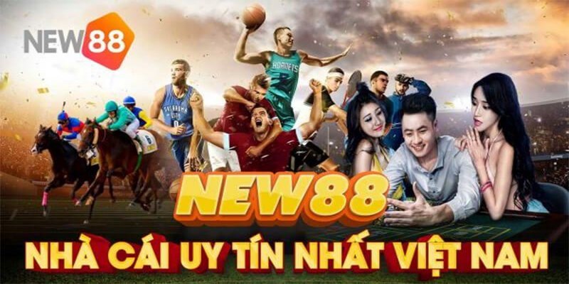 Cá cược thể thao NEW88 siêu hấp dẫn 